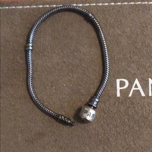 Pandora Charm Bracelet